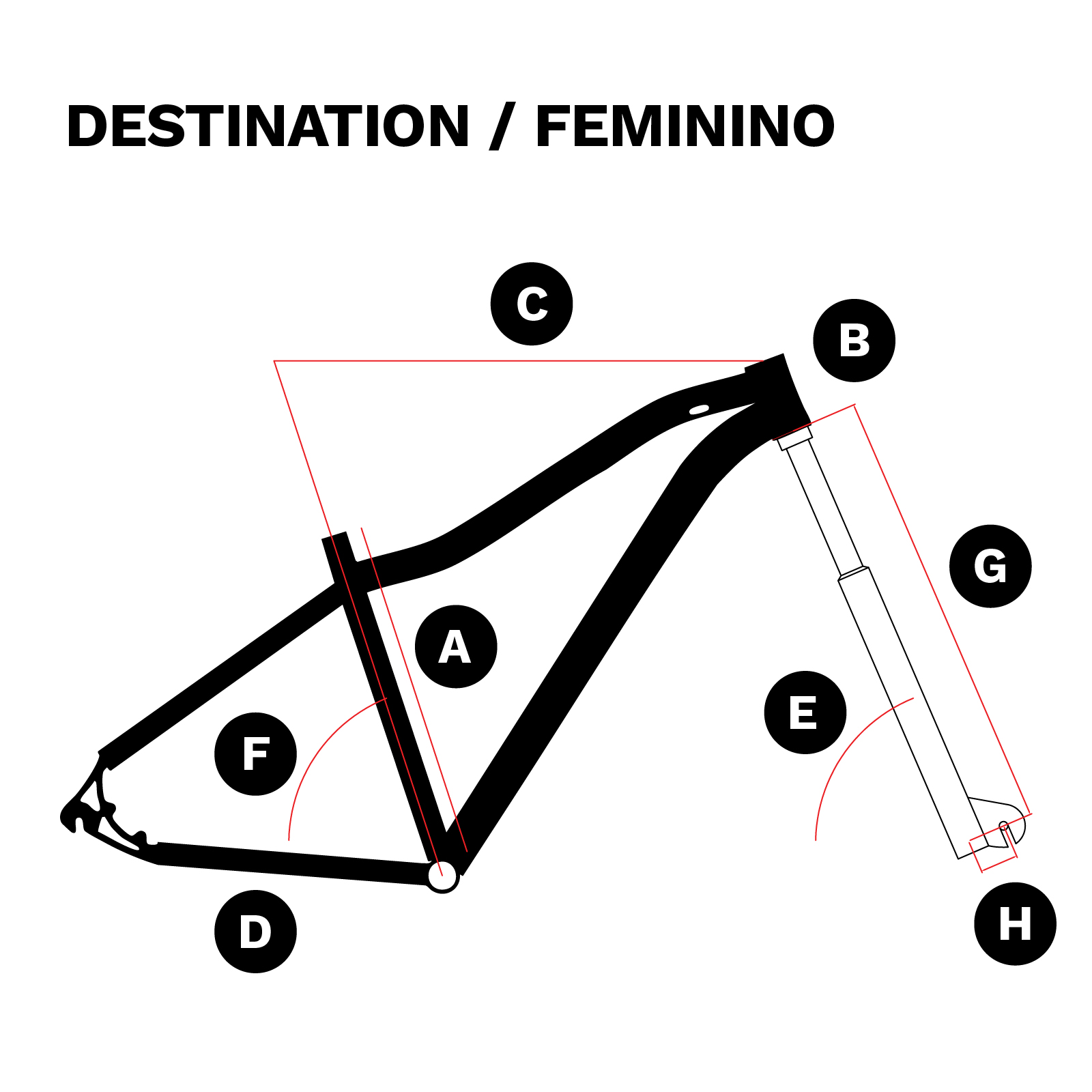 Kit Authentic 2.0 A29 21V T17 Amsterdam