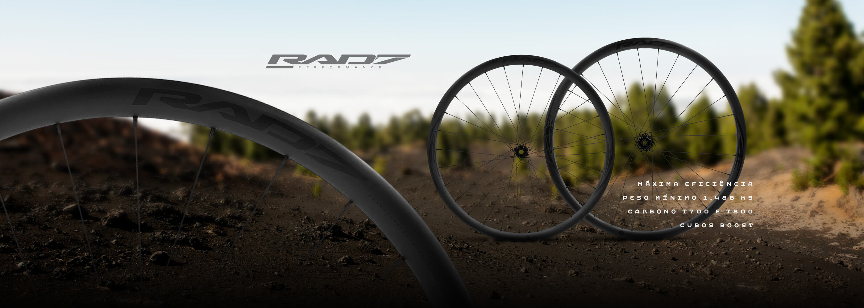 Rodas Carbono MTB XC Trail