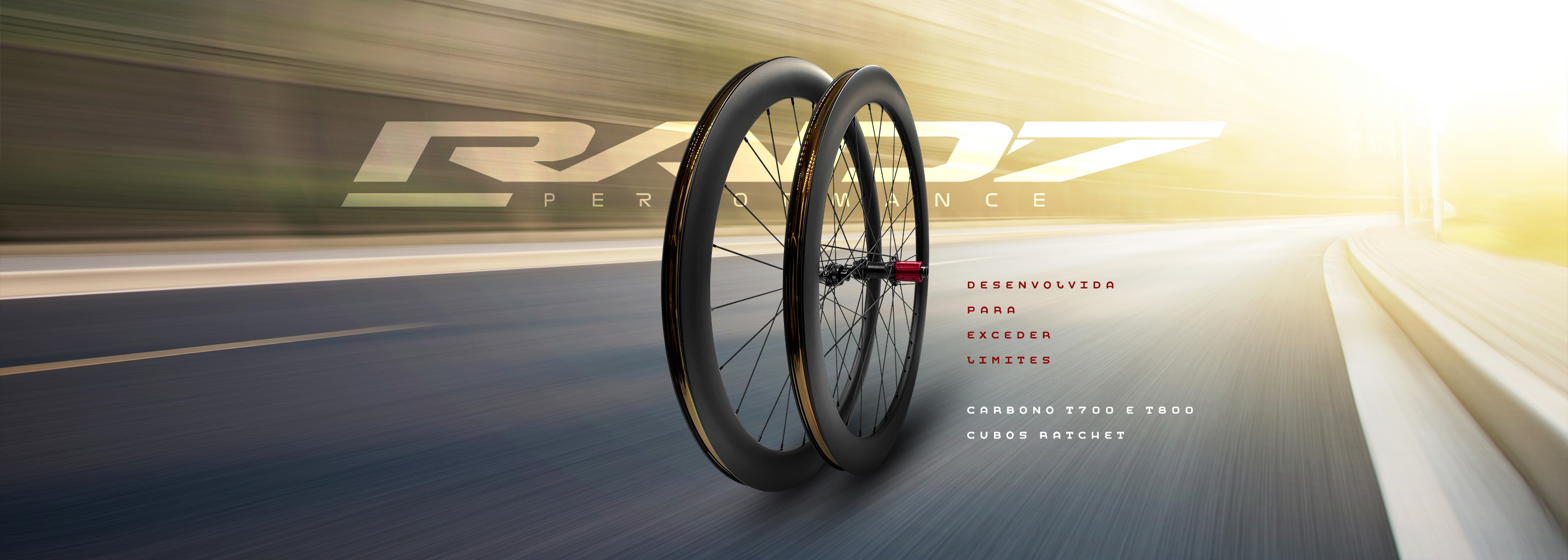 Roda Carbon Speed Aero 50