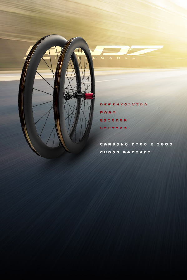 Roda Carbon Speed Aero 50